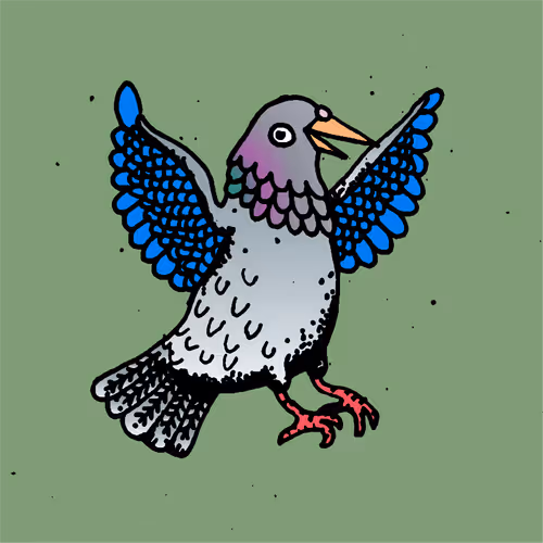 Hood Pigeon #1984