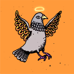 Hood Pigeon #463