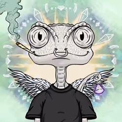 KAMA #37