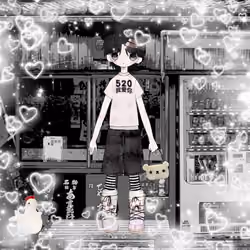 Shishi 619