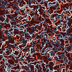 Wavelength #397