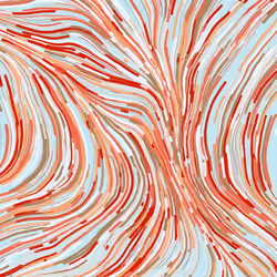 Wavelength #993