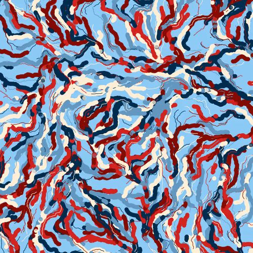 Wavelengthbykalebjohnston