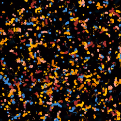 Wavelength #607