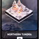 Silver Regional - Northern Tundra