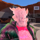 2646
