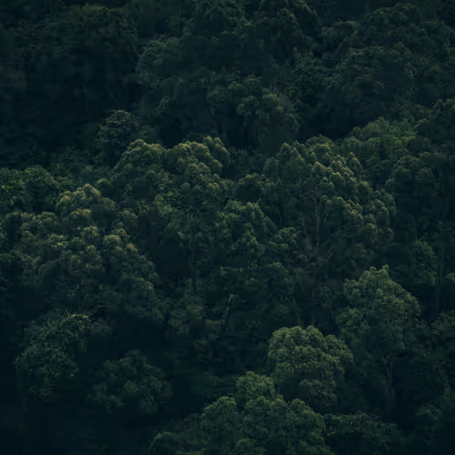 Siam - The Kingdom of Thailand