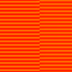 17000019