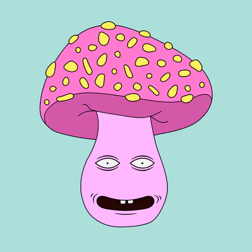 Funkyfungimushroomclub