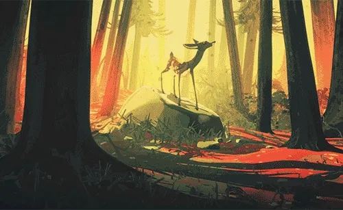 Everfresh Donor Rewards