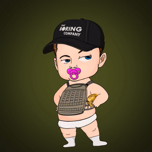 BabyElon #2495