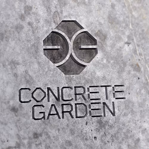 CG NFT NYC 2024