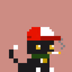 Hash Cats Rescue #455