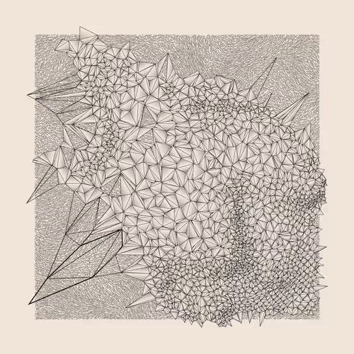 Ephemeral Tides By Ryan Bell