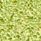 538