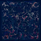 Ephemeral Tides #166