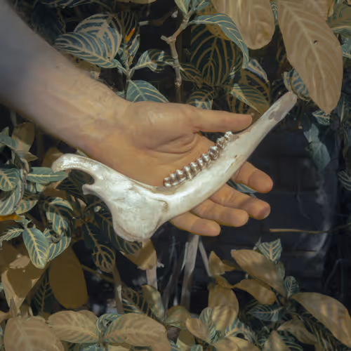 Hands Of Umbra By Summer Wagner