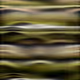 1544