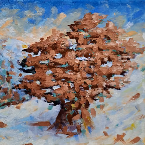Life Of A Cedar  #28