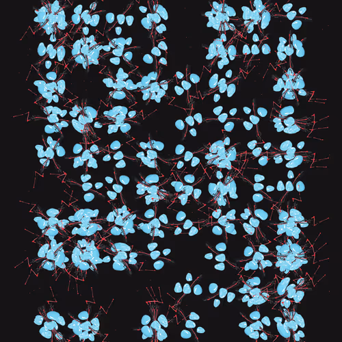 226