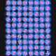 492