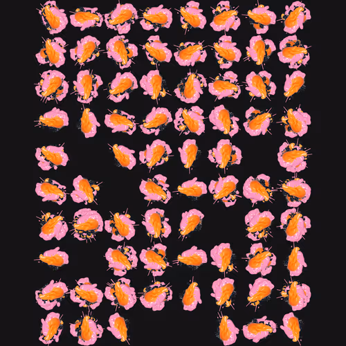 252