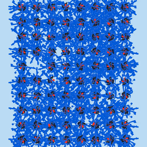 224