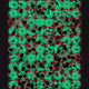 259