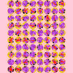 81