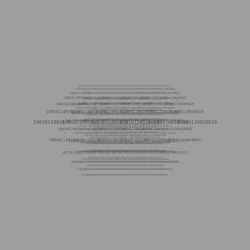 Trace #1136