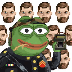 6038