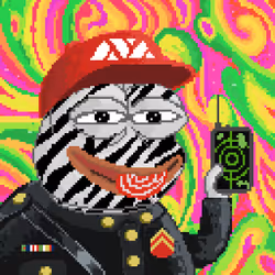 4203