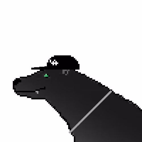 Icebearz