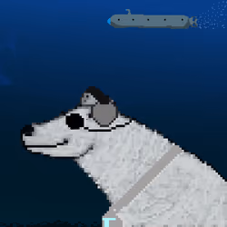 IceBearz #966