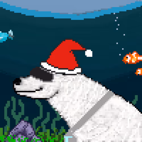 Icebearz