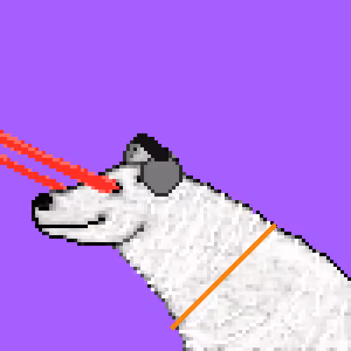 Icebearz