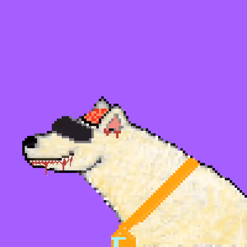 Icebearz
