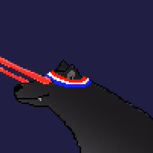Icebearz