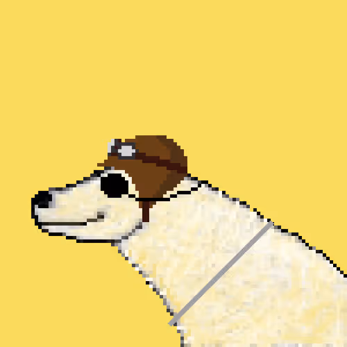 Icebearz