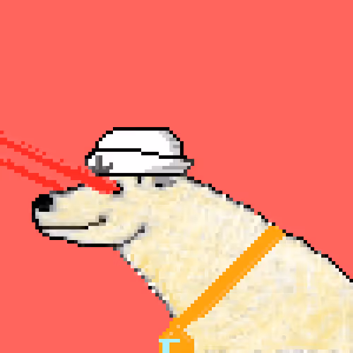 Icebearz