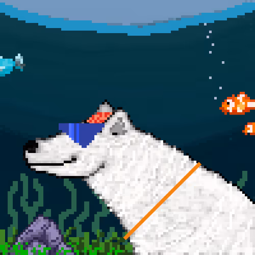 Icebearz