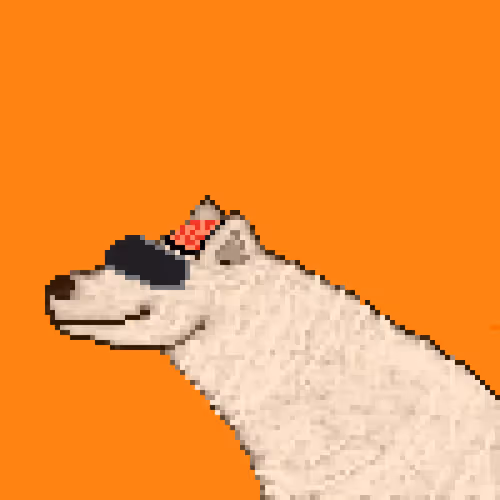 Icebearz