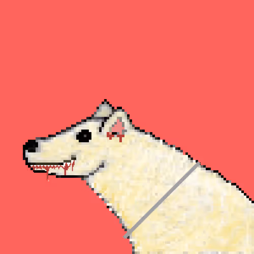 Icebearz