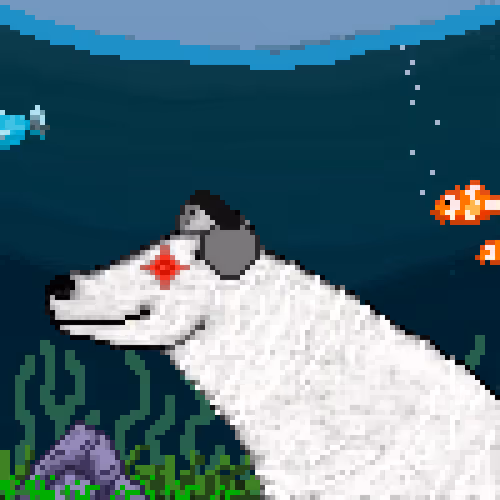 Icebearz