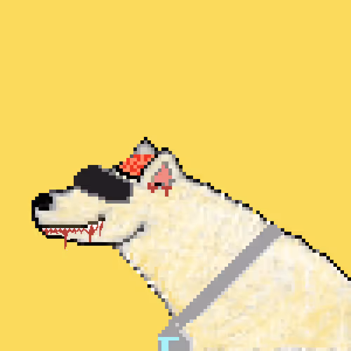 Icebearz