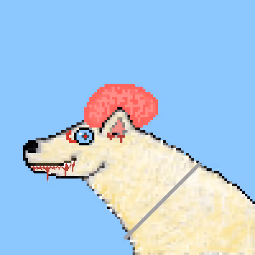 Icebearz