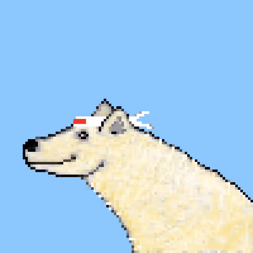 Icebearz