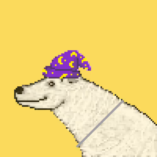 Icebearz
