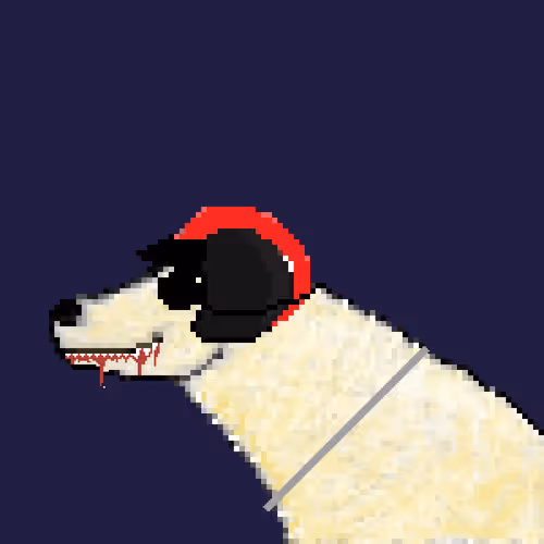 Icebearz