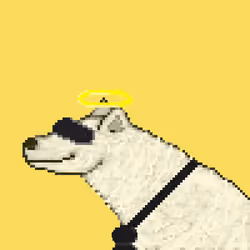 IceBearz #971